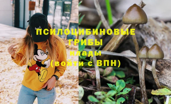 молекула духа Нязепетровск