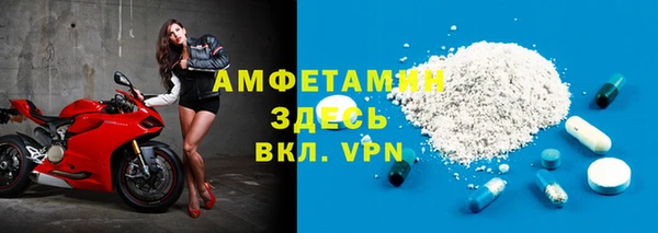 шишки Няндома