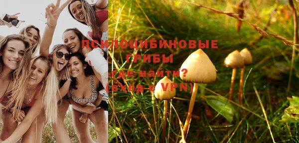 прущая мука Армянск